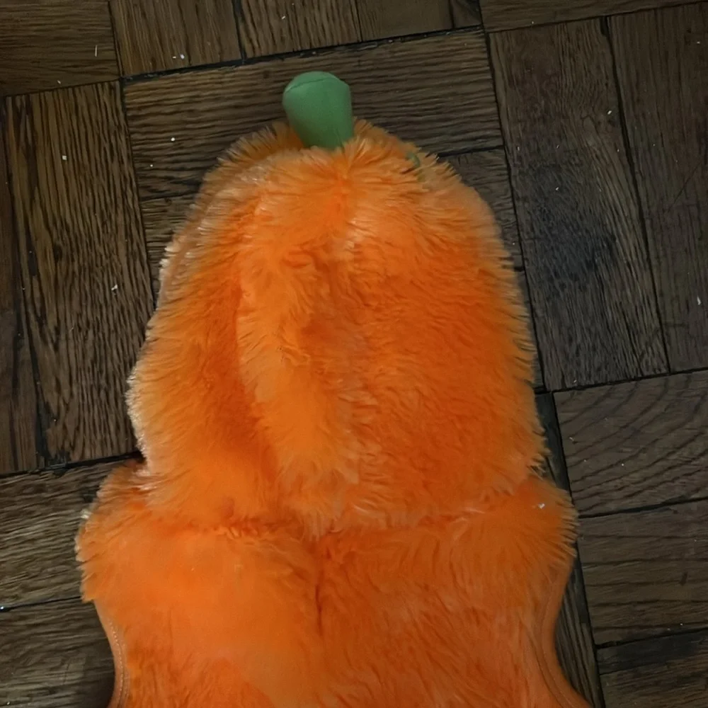 pumpkin costume size; M fits a shihpoo